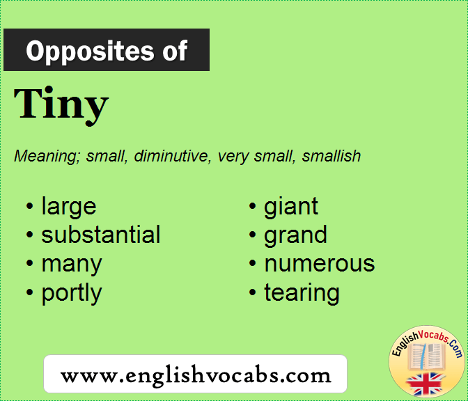 Opposite Of Tiny What Is Opposite Antonym Word Tiny English Vocabs