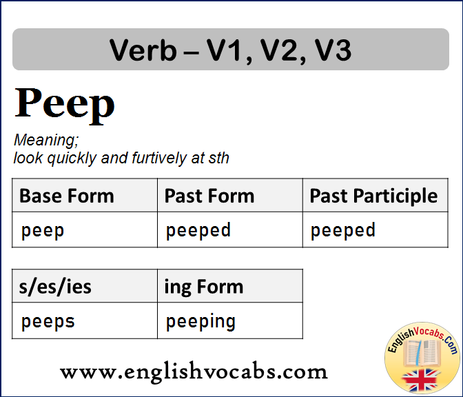 Peep Past Simple, Past Participle, V1 V2 V3 Form of Peep