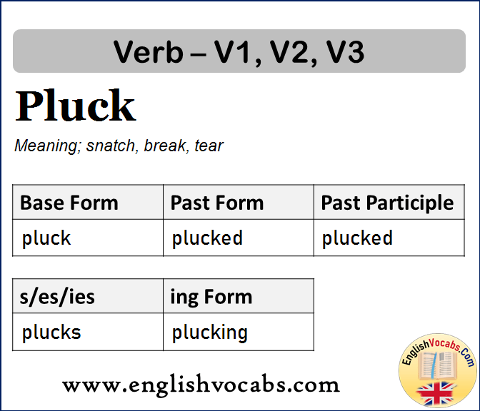 Pluck Past Simple, Past Participle, V1 V2 V3 Form of Pluck