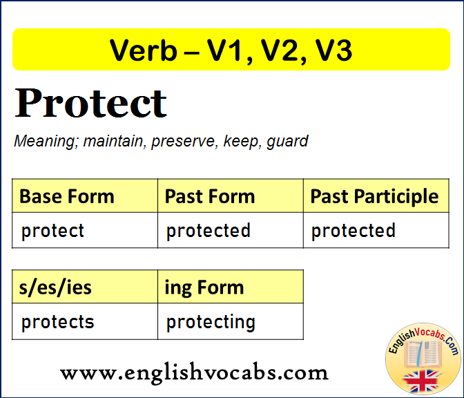 Protect Past Simple, Past Participle, V1 V2 V3 Form of Protect