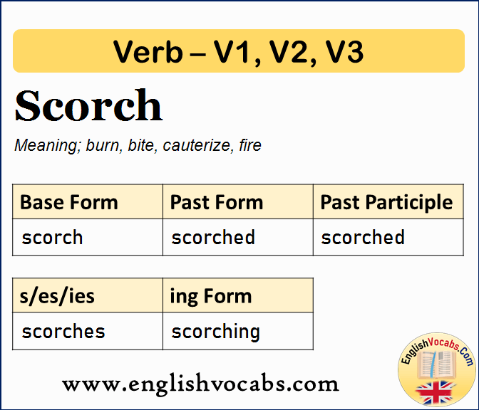 Scorch Past Simple, Past Participle, V1 V2 V3 Form of Scorch