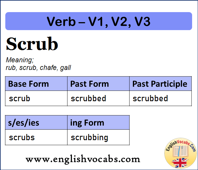 Scrub Past Simple, Past Participle, V1 V2 V3 Form of Scrub