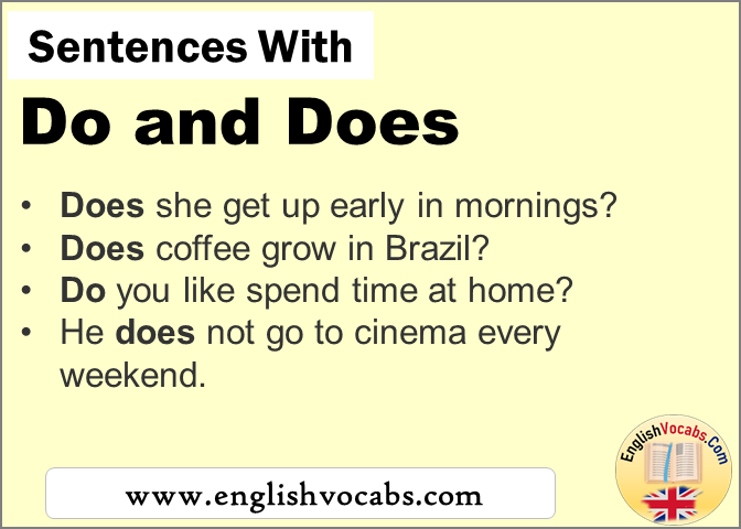 Sentences with Do and does, In a sentence Do and does