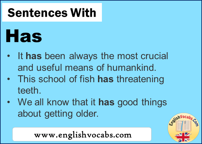 Sentences with Has, In a sentence Has