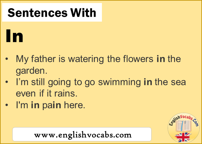 Sentences With In In A Sentence In English Vocabs