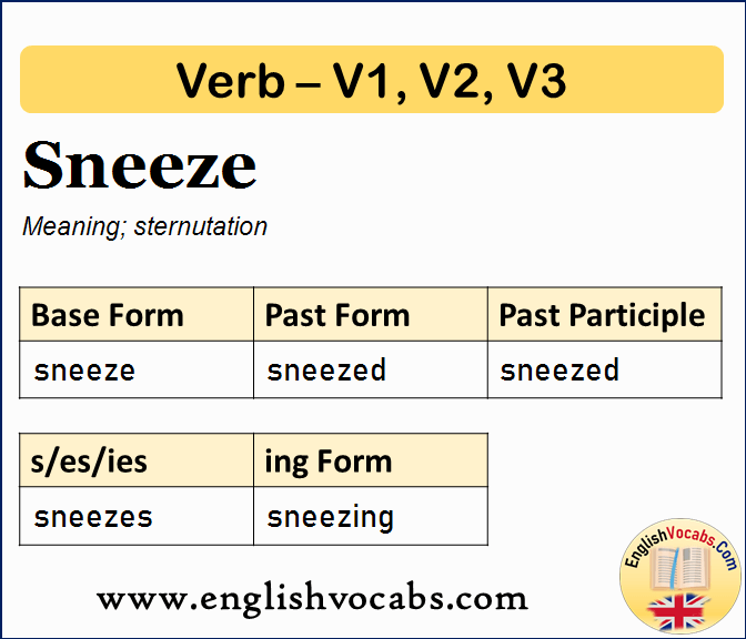 Sneeze Past Simple, Past Participle, V1 V2 V3 Form of Sneeze