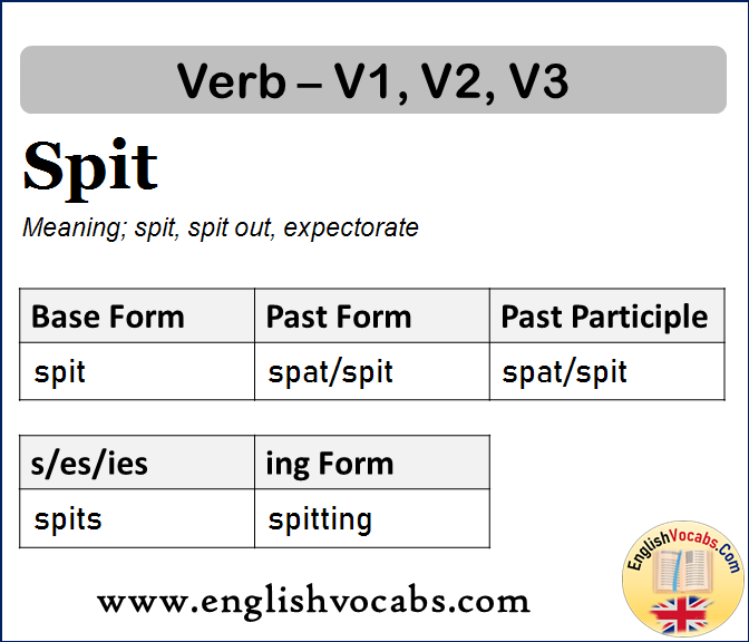 Spit Past Simple, Past Participle, V1 V2 V3 Form of Spit