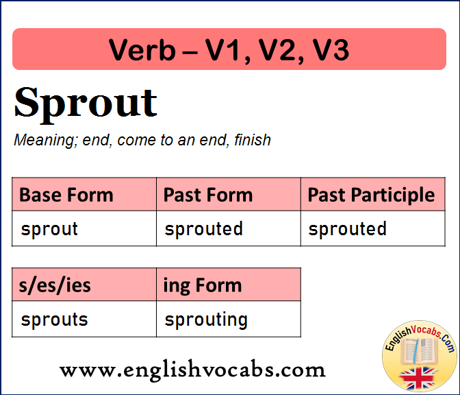 Sprout Past Simple, Past Participle, V1 V2 V3 Form of Sprout