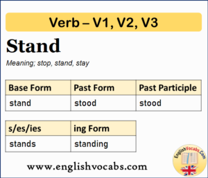 Stand Past Simple, Past Participle, V1 V2 V3 Form of Stand - English Vocabs