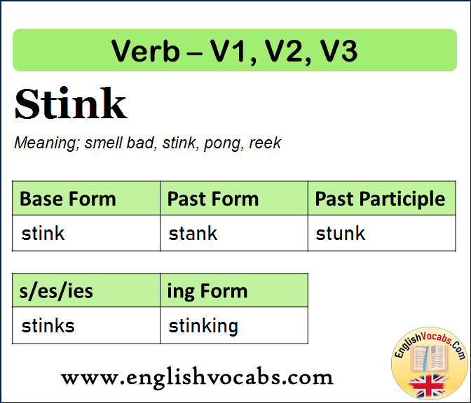 Stink Past Simple, Past Participle, V1 V2 V3 Form of Stink