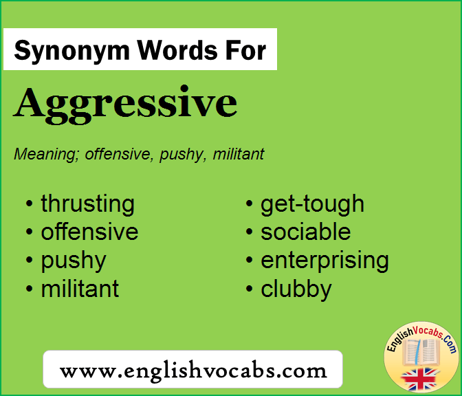 Synonym For Aggressive What Is Synonym Word Aggressive English Vocabs