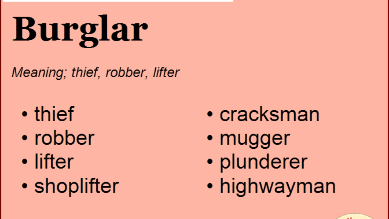 Meaning burglar What does
