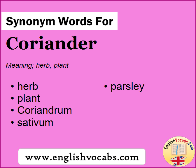 Synonym for Coriander, what is synonym word Coriander