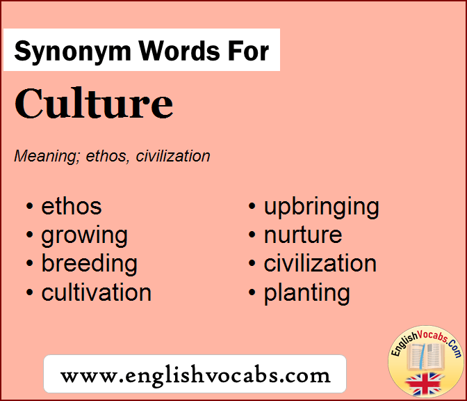 Synonym for Culture, what is synonym word Culture