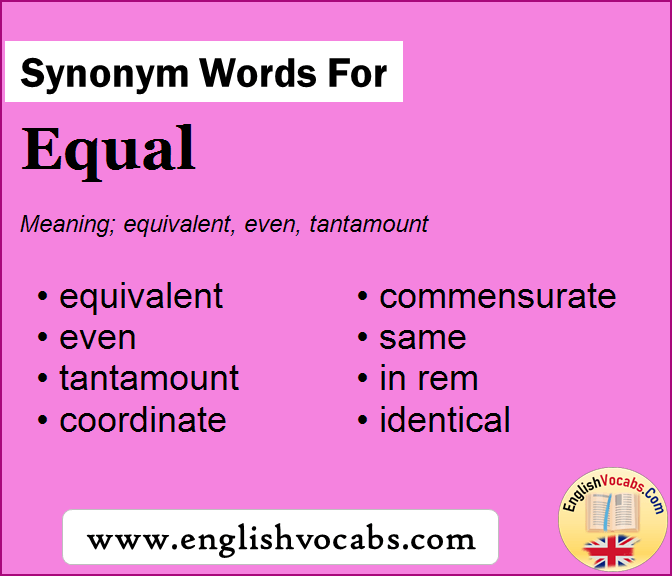 Synonym for Equal, what is synonym word Equal
