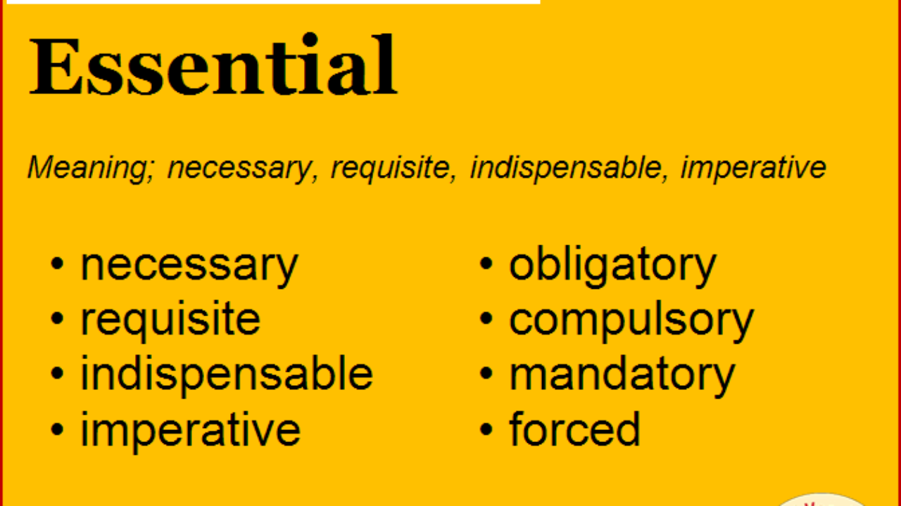 Synonym For Essential What Is Synonym Word Essential English Vocabs