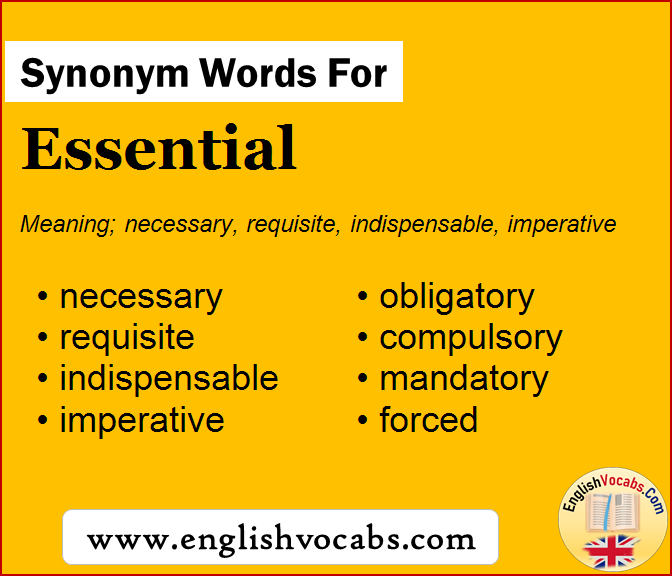 Synonym for Essential, what is synonym word Essential