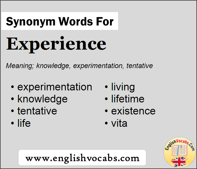 Experience Synonym