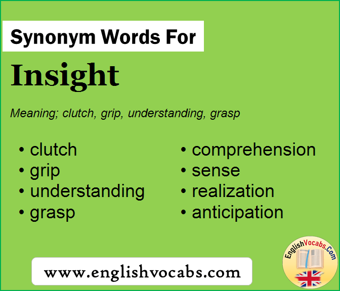 Synonym for Insight, what is synonym word Insight