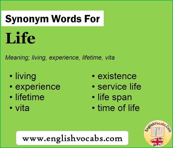 Synonym For Life What Is Synonym Word Life English Vocabs