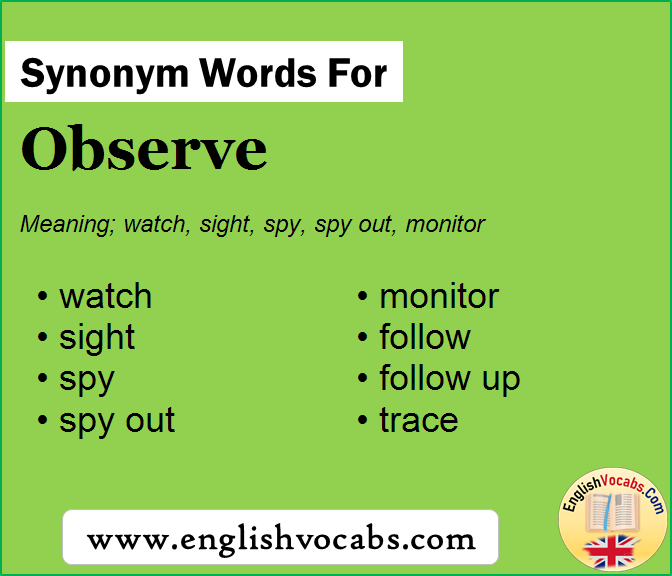 Synonym for Observe, what is synonym word Observe