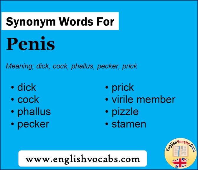 Synonym for Penis, what is synonym word Penis