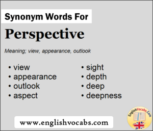 perspective synonym essay