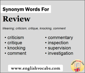 synonym literature review