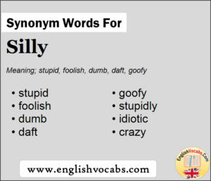 Synonym for Silly, what is synonym word Silly - English Vocabs