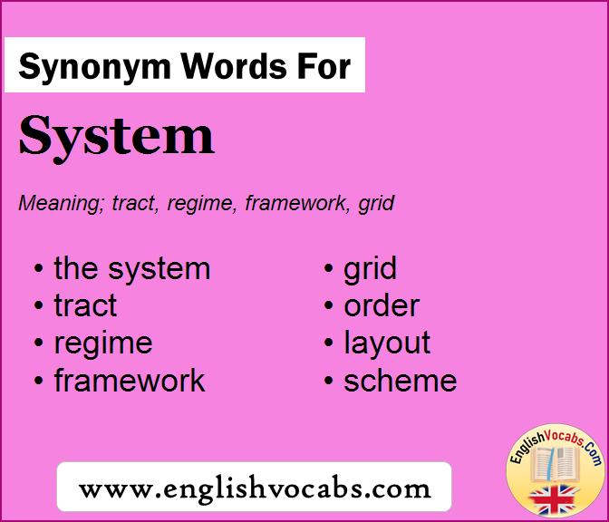 Synonym for System, what is synonym word System