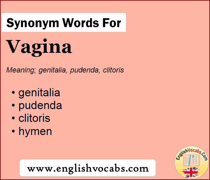 Synonym for Vagina, what is synonym word Vagina