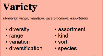 Synonym For Variety Archives English Vocabs