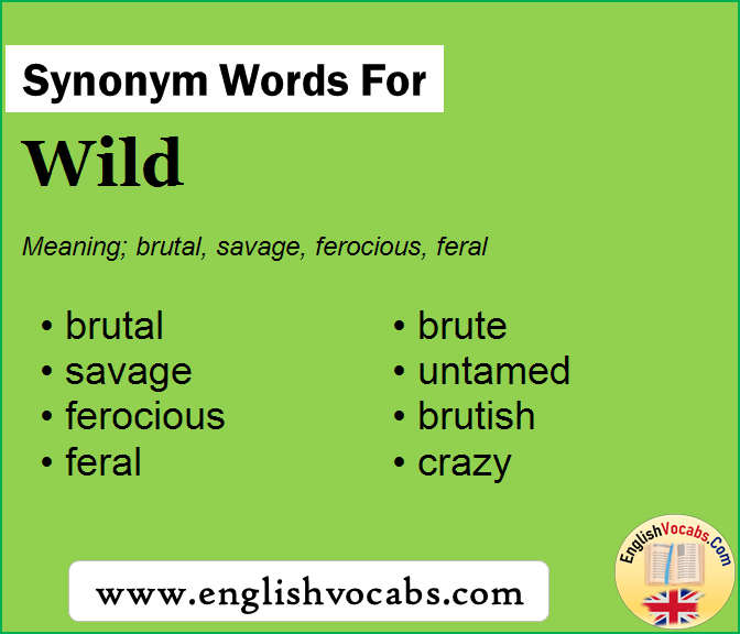 Synonym for Wild, what is synonym word Wild