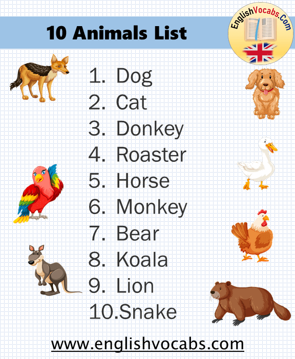 10 Common Animals List