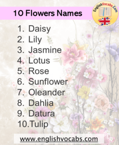 10 Flowers Name List - English Vocabs