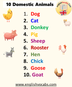 10 domestic animals name - English Vocabs