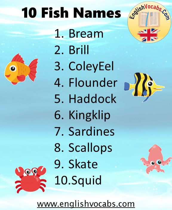 10 Fish Names List