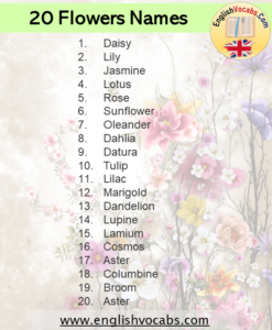 20 Flowers Name List in English - English Vocabs