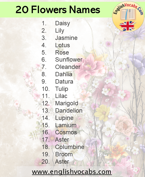 20 Flowers Name List in English