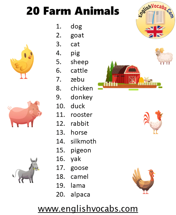 20 Farm Animal Names List