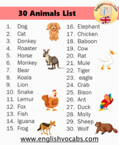 30 Common Animals List - English Vocabs