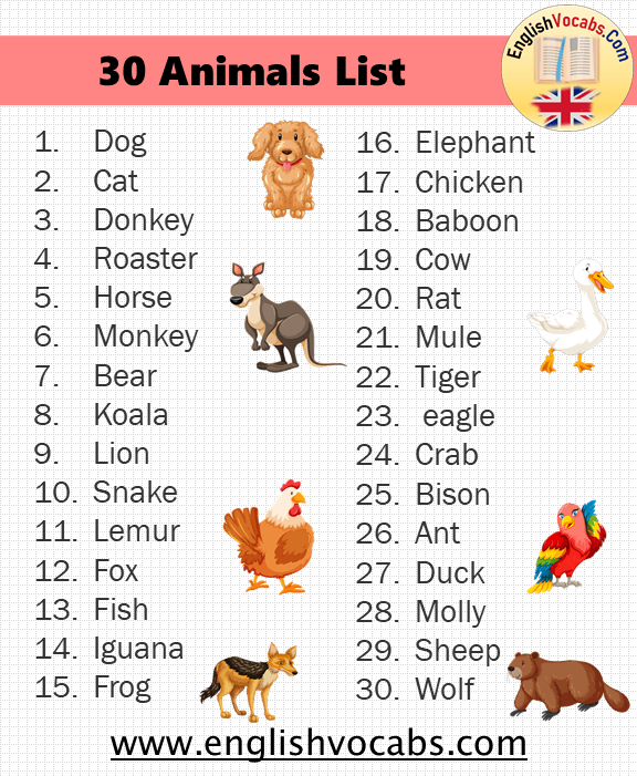 30 Common Animals List