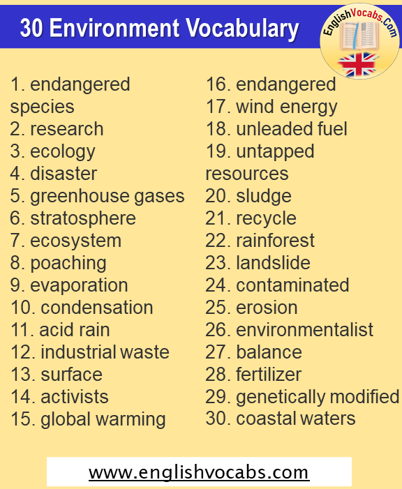 30 Environment Vocabulary, Environment Words List