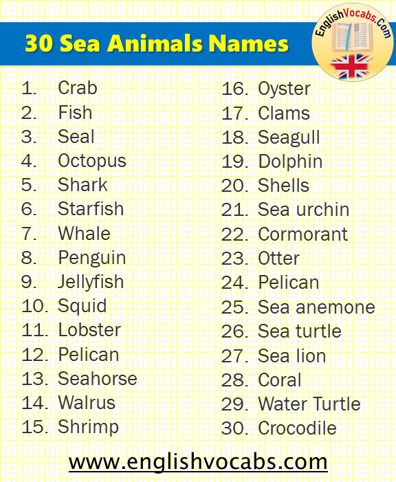 30 Sea Animals Name List