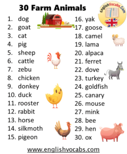 30 Farm Animal Names List - English Vocabs