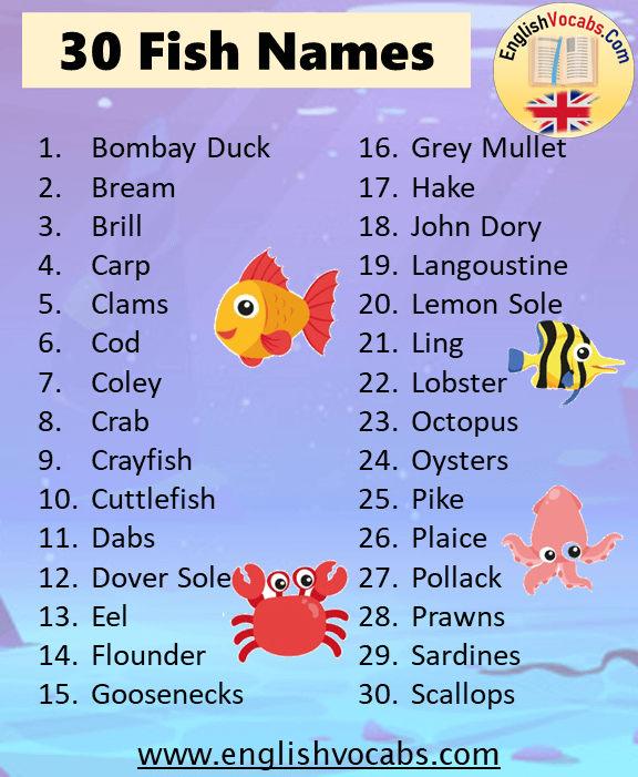 30 Fish Names List