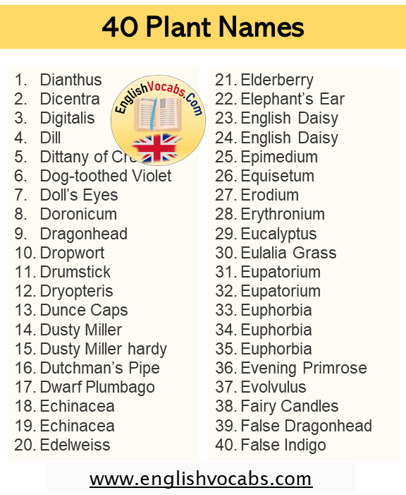 40 Plant List, Plant Names List
