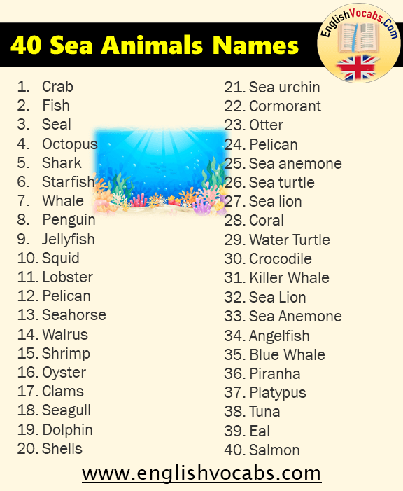 40 Sea Animals Name List