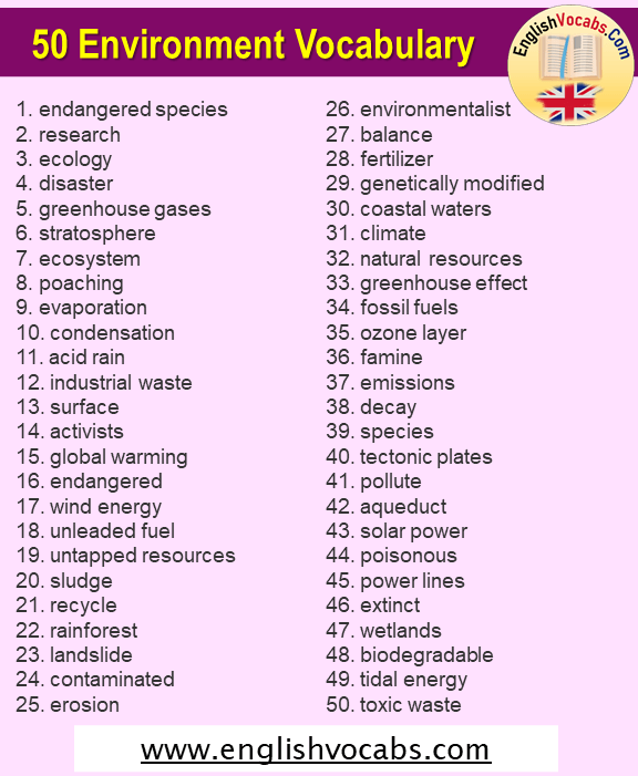 50 Environment Vocabulary, Environment Words List