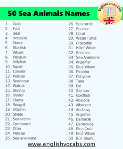 50 Sea Animals Name List - English Vocabs